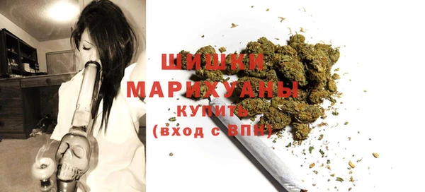 Альфа ПВП Аркадак