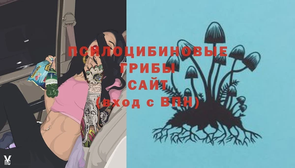 ГАЛЛЮЦИНОГЕННЫЕ ГРИБЫ Армянск