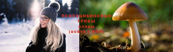 Альфа ПВП Аркадак