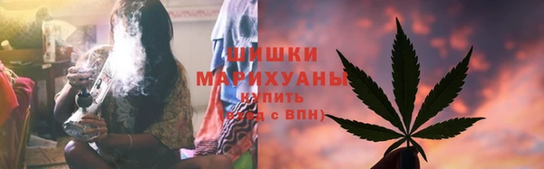 Альфа ПВП Аркадак