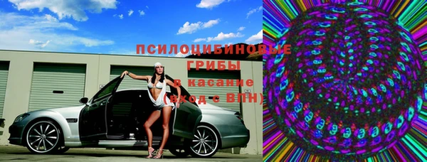 мдпв Арсеньев