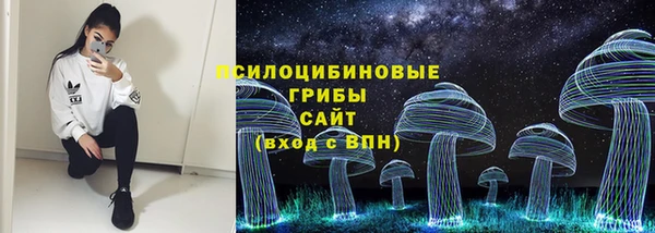 мдпв Арсеньев