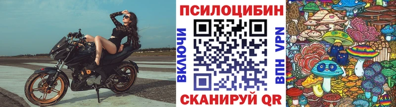 купить закладку  Пучеж  MEGA ONION  Псилоцибиновые грибы Psilocybe 